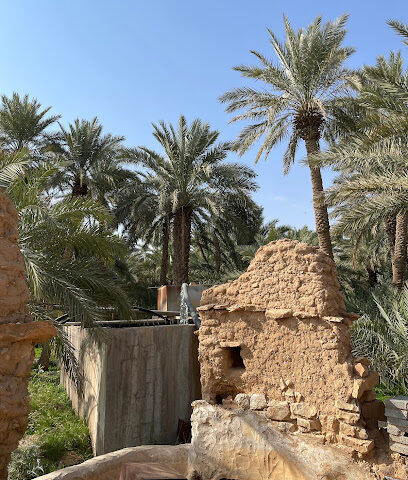 Abdulaziz Alsahow Farm - Ushairat Sudair -