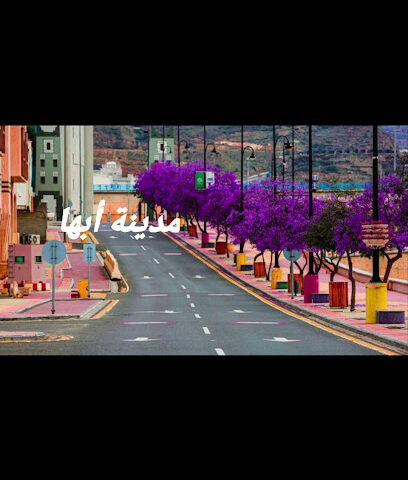 حديقة حي الروضة - Khamis Mushait -