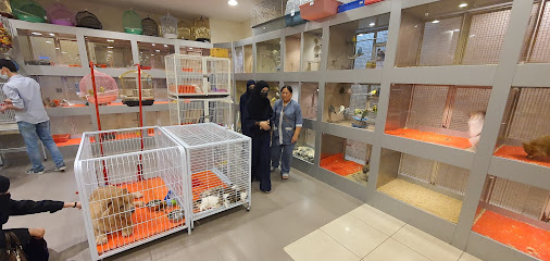 cute pets - Riyadh - +966 11 278 8555