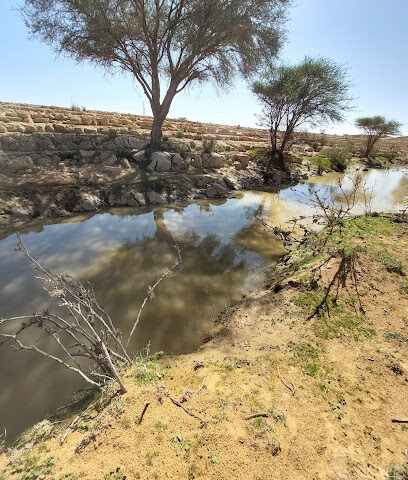 شعيب النخيل - Marat -