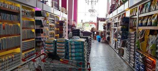 Cat shop - Riyadh - +966 53 755 0082