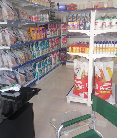 اسماء للطيور والقطط - Yanbu - +966 54 790 5572
