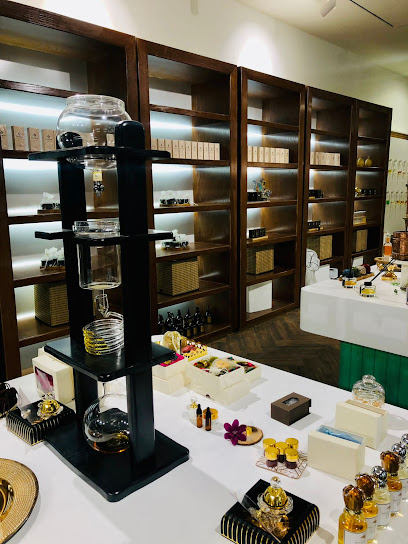 النرجس البري للعطور Daffodil - Saudi Arabia|Al Majma'ah 15364|Al Muruj|King Saud Rd