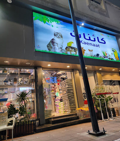 كائنات - Taif - +966 53 433 7799