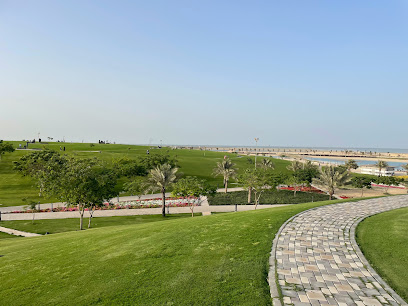 Dareen Hills - Fanateer -
