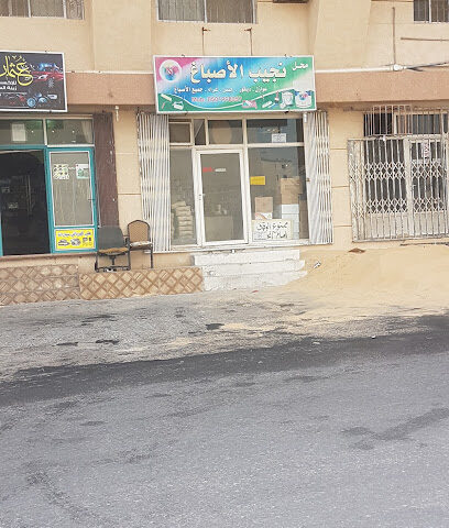 محل نجيب الأصباغ - Safwa -