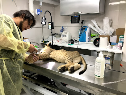 Happy Pet Vet Clinic عيادة الحيوانات الأليفة السعيدة للبيطرة - Jeddah - +966 12 654 4464