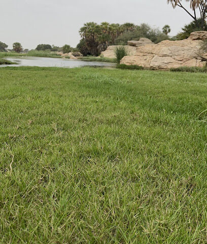 منتزه وادي ريم - جازان -