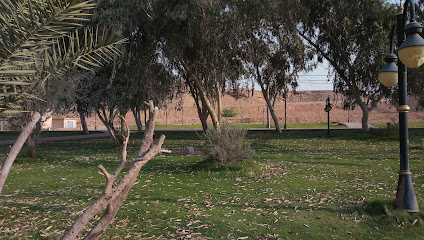Olive Park - Az Zulfi -