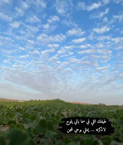 مرات - Tharmda -