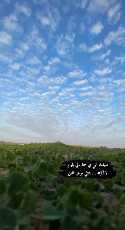 مرات - Saudi Arabia|Tharmda 15596|3GRG+45