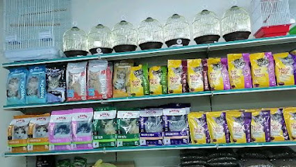 الحيوانات العصافير الذهبية - Najran - +966 53 084 7982