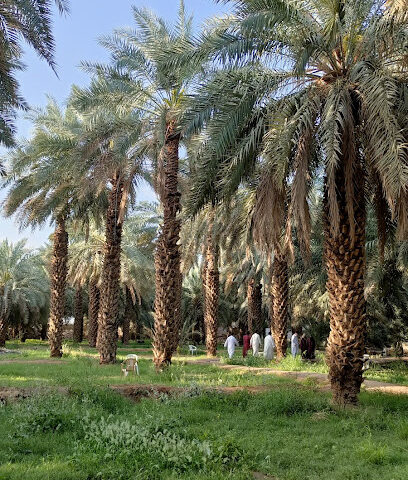 The Garden And Masjid Of Salman Al Farsi Ring Of Imam ALI - Al Madinah Al Munawwarah -