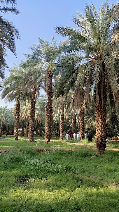 The Garden And Masjid Of Salman Al Farsi Ring Of Imam ALI - Al Madinah Al Munawwarah 42316