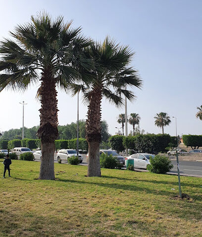 Al Hada Park - Alhada -