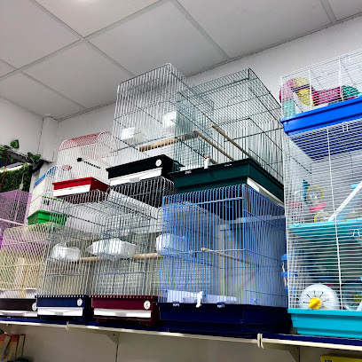 Blue Jungle Pet Shop - Dammam - +966 50 735 3857