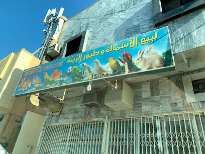 محل جزيرة الكناري للحيوانات الأليفة - Riyadh - +966 50 160 4763