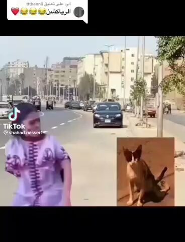 مدرسة أجيال الخفجي الابتدائية الأهلية - Khafji - +966 13 766 3223