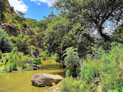 Al Soudah Creek - Abha -