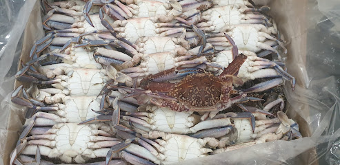 Al Khazar Fisheries Cold Store - Jeddah -