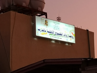 روضة رواد الطموح الأهلية بالدرب - Ad Darb -