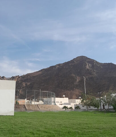 Park Football Pitch - Al Madinah Al Munawwarah -
