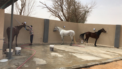 Alanoud Stable - Buraydah -