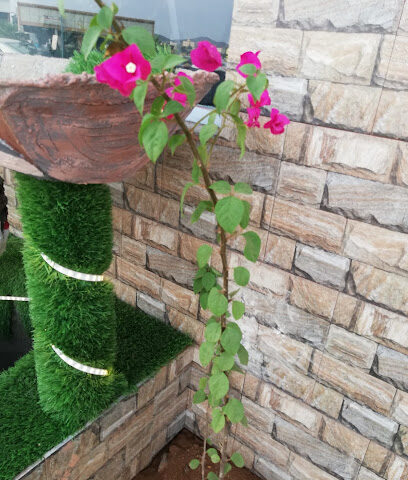 جبسيات احسان - جازان - +966 59 873 6978