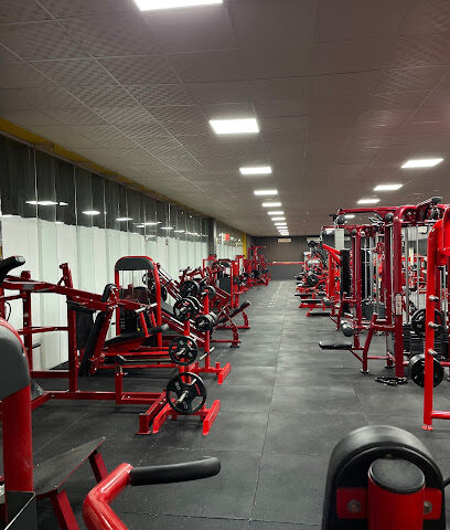 GYM 99 - Ad Dilam -