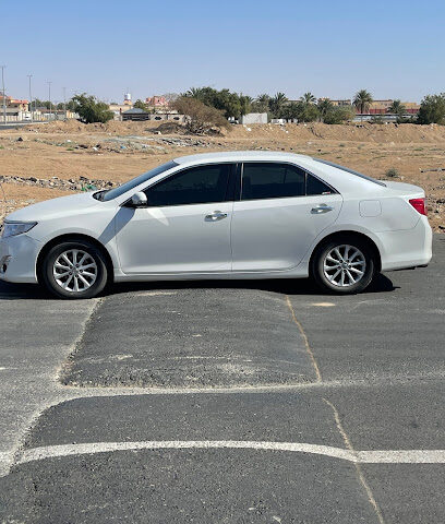 الواحدة والاربعون الابتدائية للبنات - Najran - +966 17 529 3518