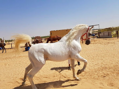 مربط الرسن للخيل العربية - Buraydah -