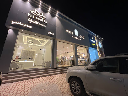 مساج وحمام مغربي بلوميريا سبا Plumeriaspa - Hafar Al Batin - +966 55 046 0071