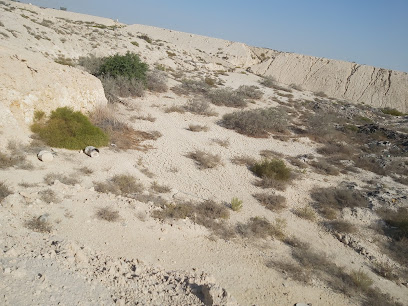 trail camp 2.0 - Dhahran -