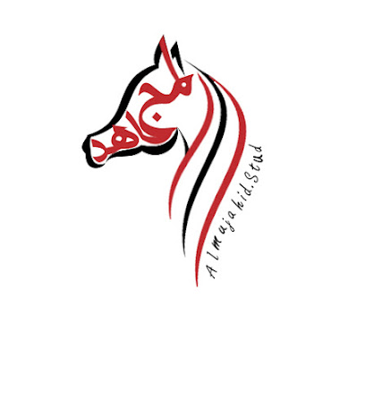 مربط المجاهد للخيل العربية المصرية - Taif - +966 56 671 5031