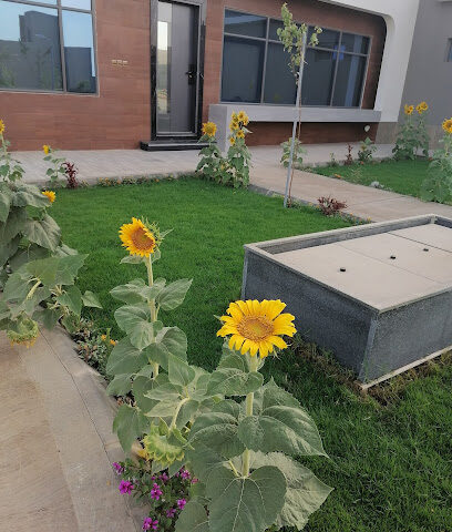 مزرعة العزيزية عبدالعزيز إبراهيم الخضير - Al Bukayriyah - +966 50 548 5794