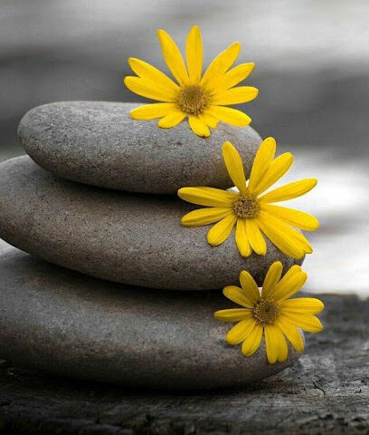 Violet Spa - Jeddah - +966 53 540 0311