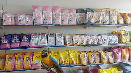 محل غاده للطيور والحيوانات الاليفه - Hail - +966 57 033 3242