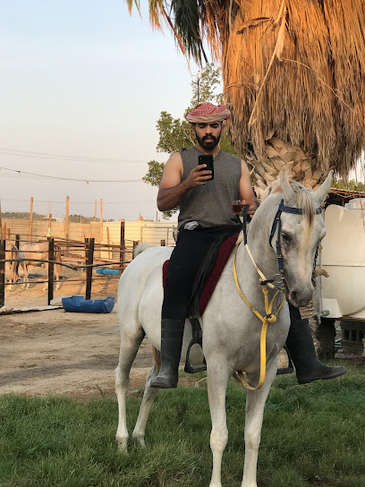 مربط بير الماجل للخيل العربيه الاصيله - Saudi Arabia|Safwa 32684|An Nahdah|GWQ5+G4