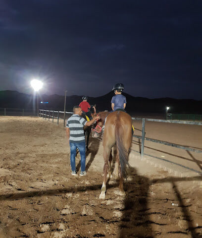 مربط ريف الحجاز - Al Madinah Al Munawwarah - +966 56 888 4629