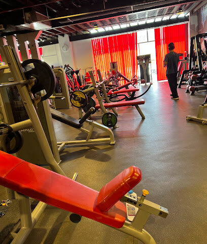 ليون جيم LION GYM - Mecca - +966 50 979 7008