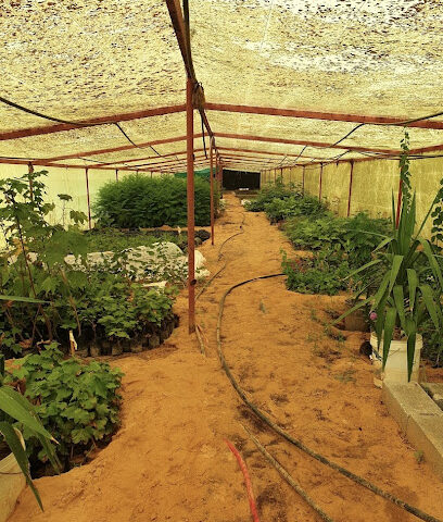 Rowdh - Buraydah - +966 55 604 6905