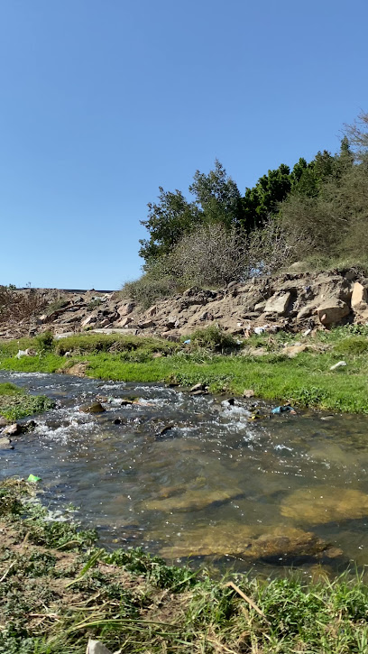 وادي بسيسد - Saudi Arabia|Taif 26551|Unnamed Road|8FG7+GMH