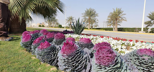 ABQ ITC Building 67 - Buqayq -