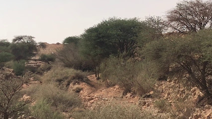 متنزه وادي القلتة - الرياض -