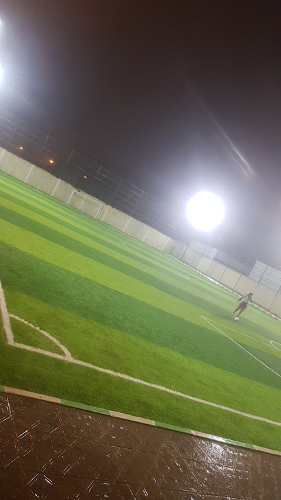Almohtaref Field - Saudi Arabia|Hail 55481|Al Suwayfilah|4472