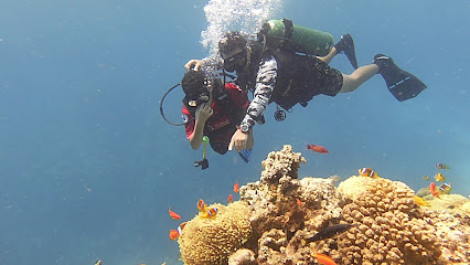 Umluj diver boat Alabasi port - Yanbu - +966 56 939 1366