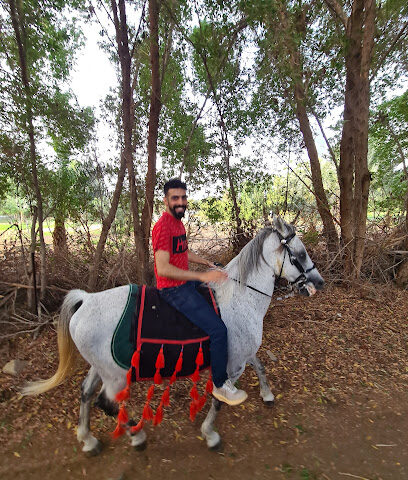 اسطبل تاس لتعليم ركوب الخيل - Mecca - +966 55 539 6567