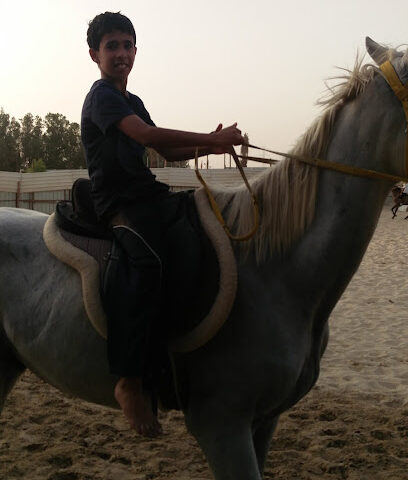 مربط اس كيو للخيل العربية الأصيلة( بيع - شراء- ايواء-تدريب) - Safwa - +966 55 634 2226