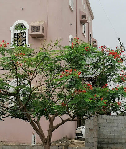 بيت السيد هادي طوهري - Al Nafei South - +966 50 738 5922