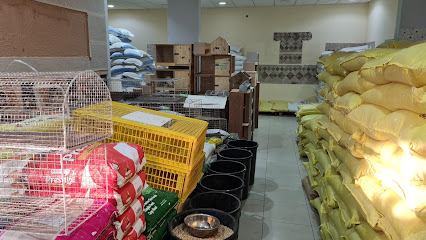 مؤسسة بذور الريف - Hail - +966 53 326 3319